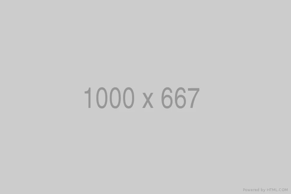 1000x667